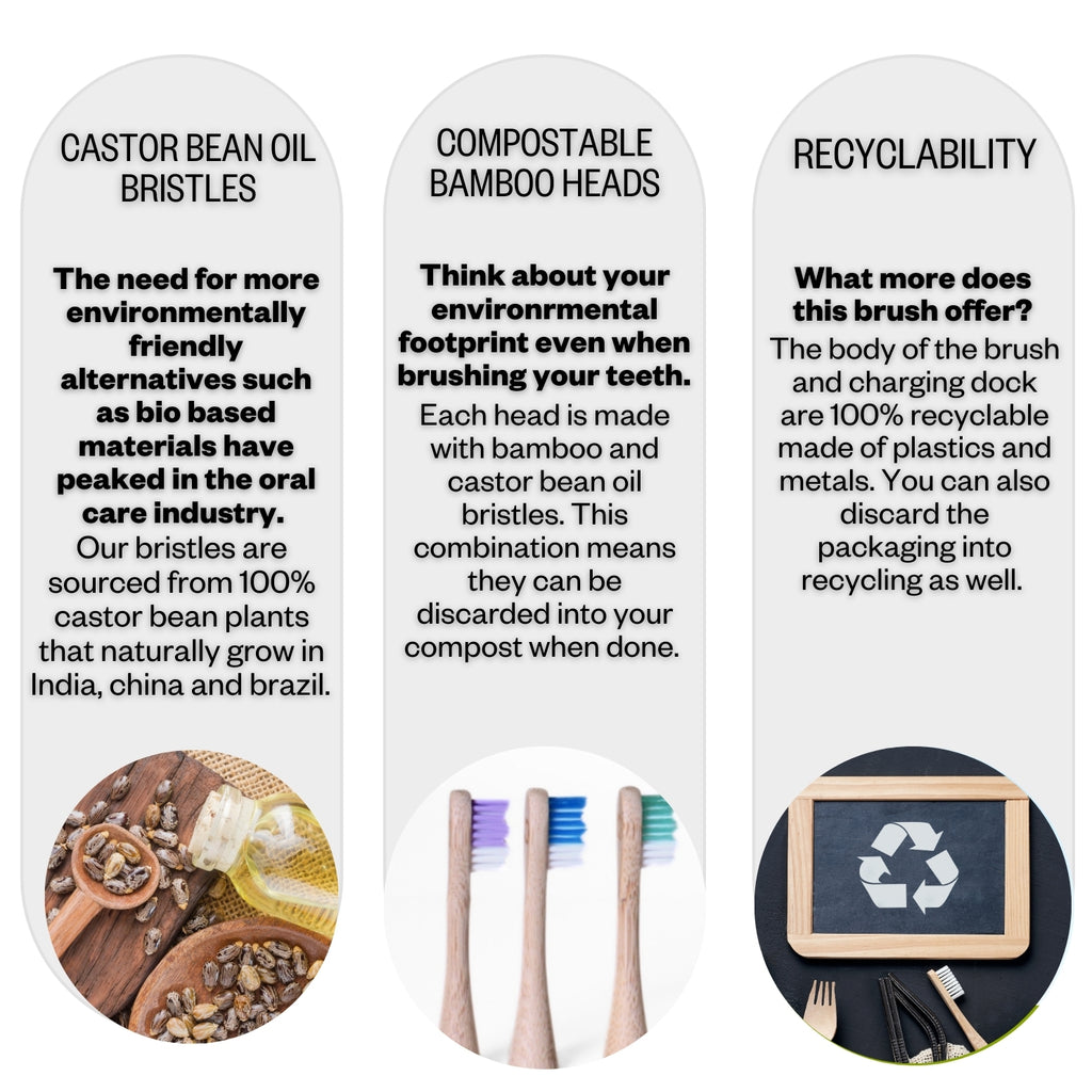 Electric Toothbrush with Replaceable Bamboo Head