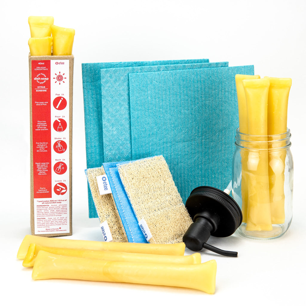 Citrus Dishwashing Kit