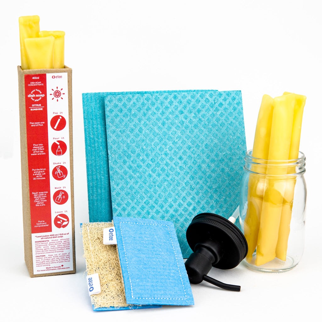 Citrus Dishwashing Kit