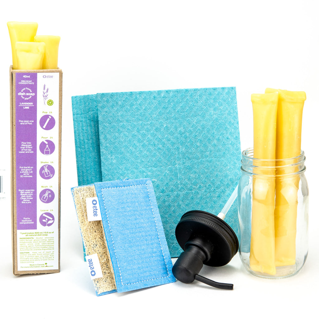 Lavender Lime Dishwashing Kit