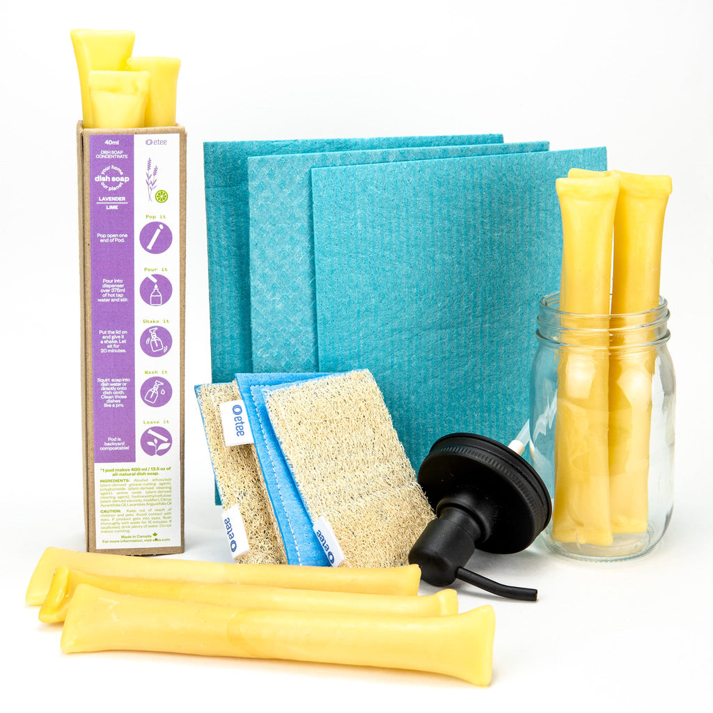 Lavender Lime Dishwashing Kit