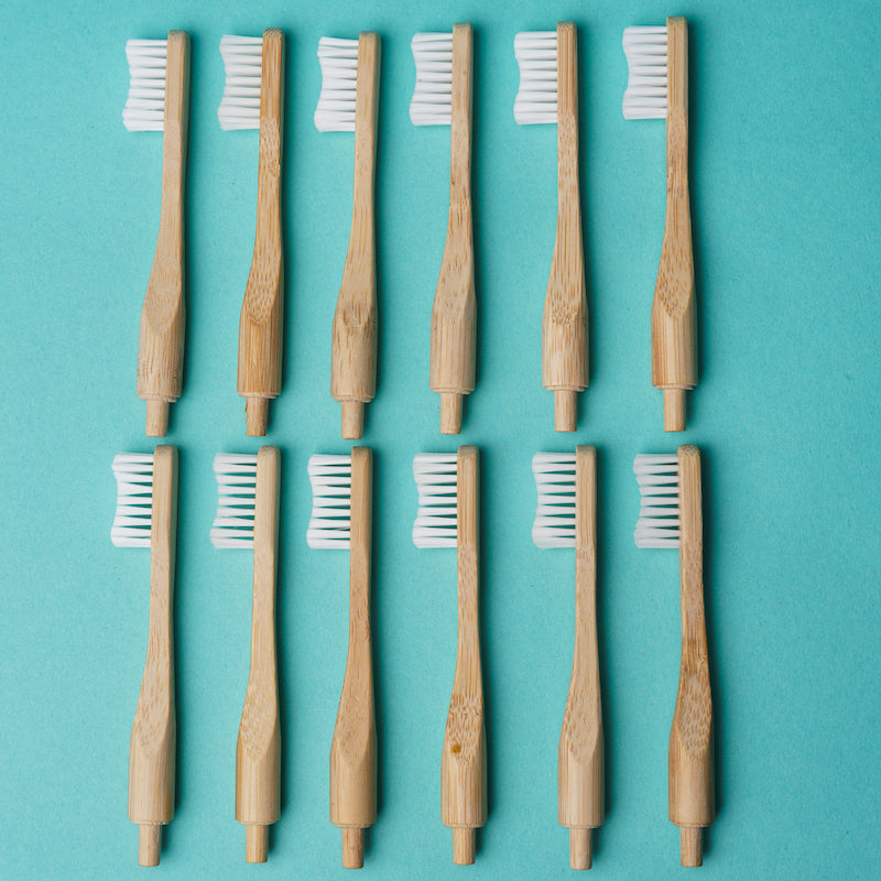 Replacement Toothbrush Heads