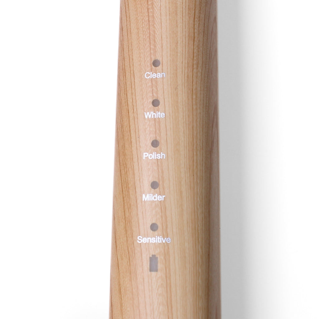 Electric Toothbrush with Replaceable Bamboo Head